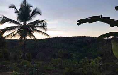 Imagem: A fazenda possui 100.000m² de Área e está localizado em