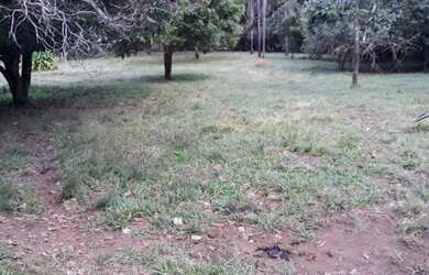 Imagem 6: Fazenda 6,8 Alqueires - Casa - 59 km de Palmas - Água por Gravidade