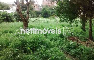 Imagem 12: Venda Lote-Área-Terreno Mussurunga I Salvador