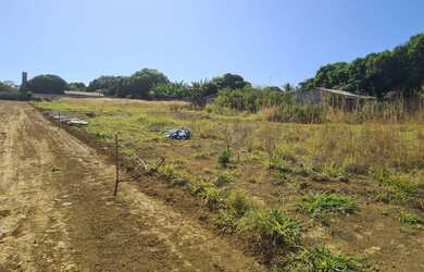 Imagem 2: Lote Incra próximo Vovozão