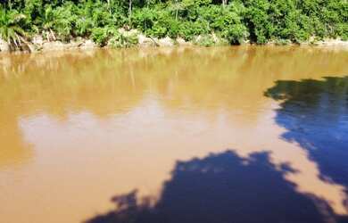 Imagem 9: Vendo Pesqueiro beira Rio Aquidauana 4 he