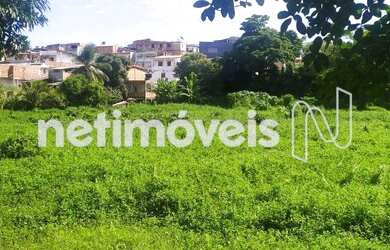 Imagem 1: Venda Lote-Área-Terreno Mussurunga I Salvador