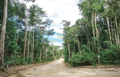 Imagem 3: Porto Seguro - Terreno Padrão - Estrada de Trancoso