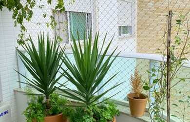 Imagem 4: Praia Brava- Itajai