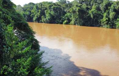 Imagem 13: Vendo Pesqueiro beira Rio Aquidauana 4 he