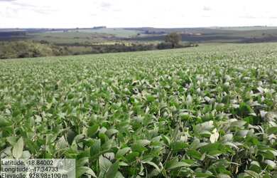 Imagem: A fazenda está localizado em Centro, Uberlândia à venda por