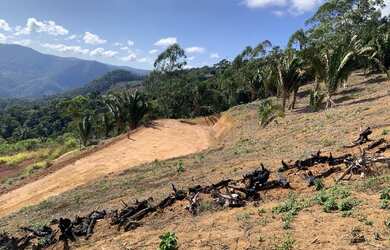 Imagem 3: Vendo Terreno em Santa Teresa - Vista Mais Bonita do Caravaggio - 33mil...