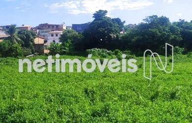 Imagem 2: Venda Lote-Área-Terreno Mussurunga I Salvador