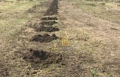 Imagem: A fazenda possui 30000000m² de Área e está localizado em