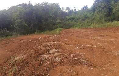 Imagem 10: Sítio para Venda em Taquara, Fazenda Fialho