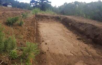 Imagem 6: Sítio para Venda em Taquara, Fazenda Fialho
