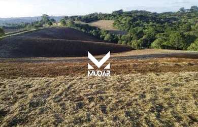 Imagem: O terreno possui 73.500m² de Área e está localizado em Carambeí