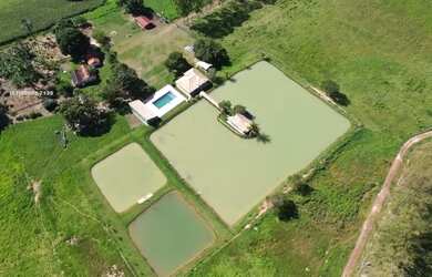 Imagem 13: Vende-se Fazenda em Buritis MG, 180km de Brasília - Um Paraíso de 159...
