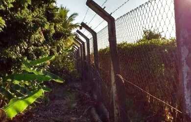 Imagem 16: Sítio, Região de Porto Feliz SP