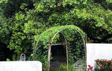 Imagem 9: Cód. 8025 Barra de Jacuípe Casa com 3 suítes Perto do mar com 5 Vagas