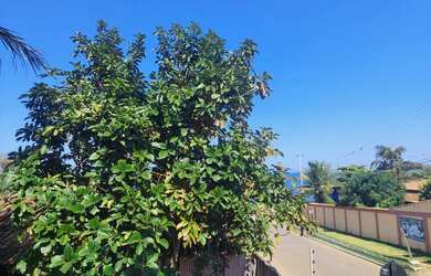 Imagem 6: Imóvel para venda possui 362 metros quadrados com 5 quartos em Setiba - Guarapari - ES