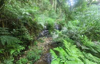 Imagem: A fazenda possui 9.970m² de Área e está localizado em Colônia