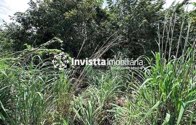 Imagem 3: Terreno à venda, 3735 m² por R$ 600.000,00 - Gleba Água Boa - Palmas/TO