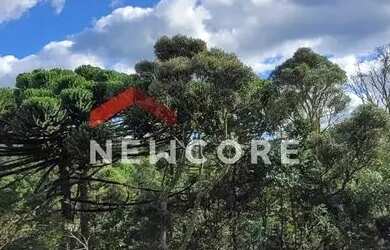 Imagem: Lote em Olavo J - Vale Encantado - Campos do Jordão/SP