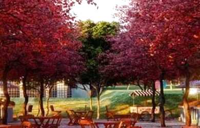 Imagem 9: Lote de 258 m² à venda por R$ 250.000 no Jardins Parma - Senador Canedo/GO