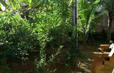 Imagem 13: Aluga-se. 2 Vagas na garageme2 Dormitórios