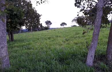 Imagem 4: Fazenda 6,8 Alqueires - Casa - 59 km de Palmas - Água por Gravidade