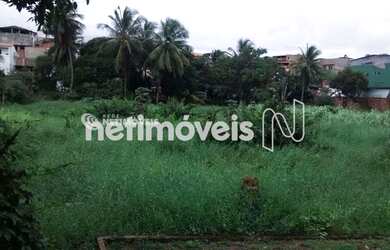 Imagem 15: Venda Lote-Área-Terreno Mussurunga I Salvador