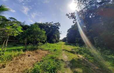 Imagem: Lote/Terreno para venda tem 1000 metros quadrados em Balneário