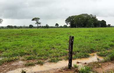 Imagem: A fazenda possui Imóvel novo e está localizado em Mundo Novo