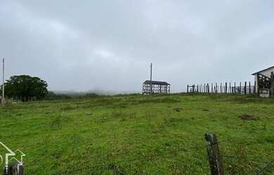 Imagem 9: Santana da Boa Vista - Fazenda - Zona rural