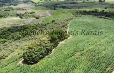 Imagem 11: Fazenda com 129 alqueires em Bofete - SP Nogueira Imóveis Rurais