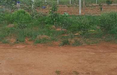 Imagem: A chácara possui 5000-0m² de Área e está localizado em Trindade