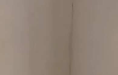 Imagem: A casa possui 2 Dormitórios, 1 Banheiro e está localizado