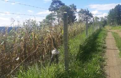 Imagem 14: Sítio para Venda em Taquara, Fazenda Fialho