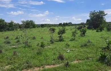 Imagem: A fazenda possui 1210m² de Área e está localizado em Goianorte