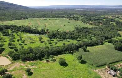 Imagem 6: Vende-se Fazenda em Buritis MG, 180km de Brasília - Um Paraíso de 159...