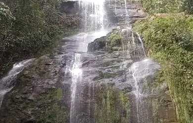 Imagem 15: Vende-se Fazenda em Buritis MG, 180km de Brasília - Um Paraíso de 159...