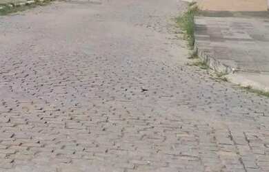 Imagem: O terreno possui 420m² de Área e está localizado em Serraria