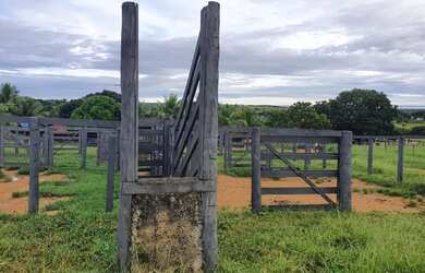 Imagem 7: Fazenda 3 quartos para Venda Amaral, Unaí