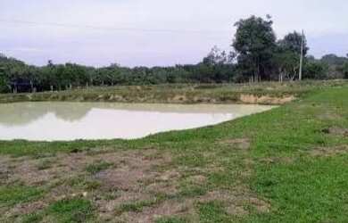 Imagem 15: Vende-se Propriedade Rural - AM-352, Km 42 - Novo Airão/AM