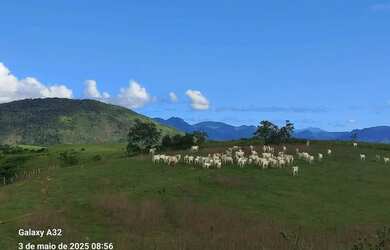 Imagem: A fazenda possui 536800m² de Área e está localizado em Anchieta