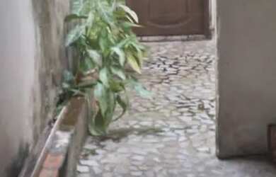 Imagem 12: Vendo ótima casa na cidade nova 5 we29