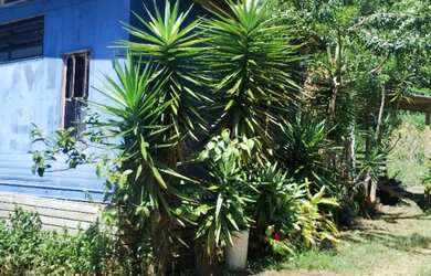 Imagem: A casa possui 2 Dormitórios, 1 Banheiro, 4 Vagas na garagem