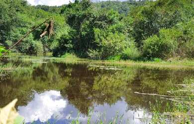 Imagem: O terreno possui 20.000m² de Área e está localizado em Fortuna