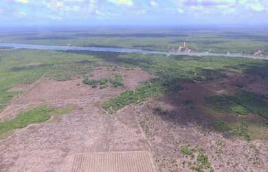 Imagem 8: R$5 milhões de reais 3 galpão granja 75 mil frangos em pleno funcionamento...