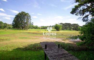 Imagem 3: Chácara com 4 dormitórios, 5500 m² - venda por R$ 2.000.000,00 ou aluguel...