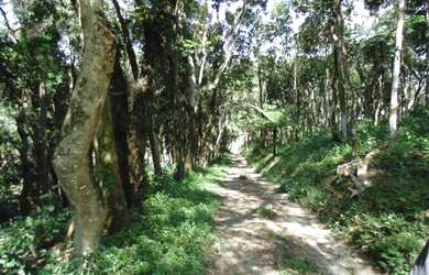 Imagem 12: Lote/Terreno para venda tem 66000 metros quadrados em Colônia Zona Leste...