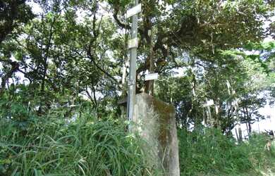 Imagem 7: Lote/Terreno para venda tem 66000 metros quadrados em Colônia Zona Leste...