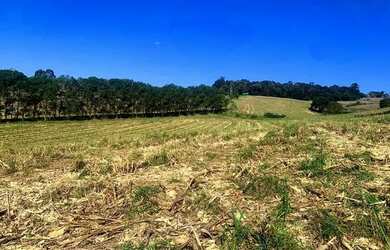 Imagem 14: Lote/Terreno para venda tem 500 metros quadrados em Usina - Atibaia -...