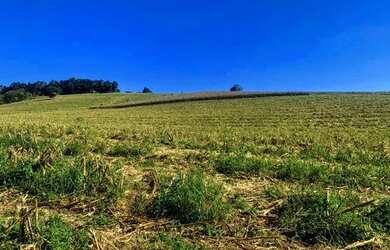 Imagem 13: Lote/Terreno para venda tem 500 metros quadrados em Usina - Atibaia -...